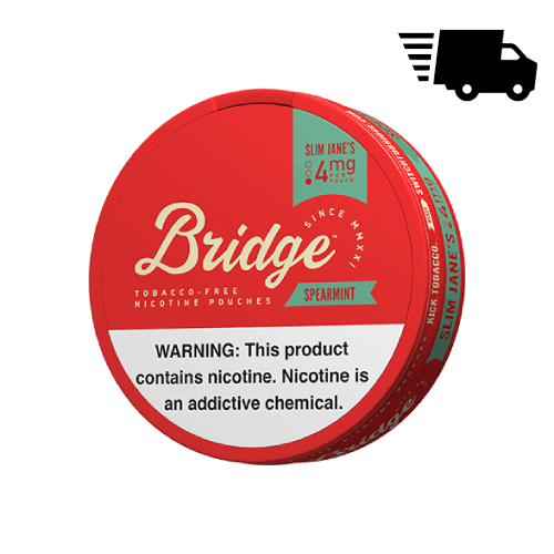 Bridge Nicotine Pouches - Spearmint