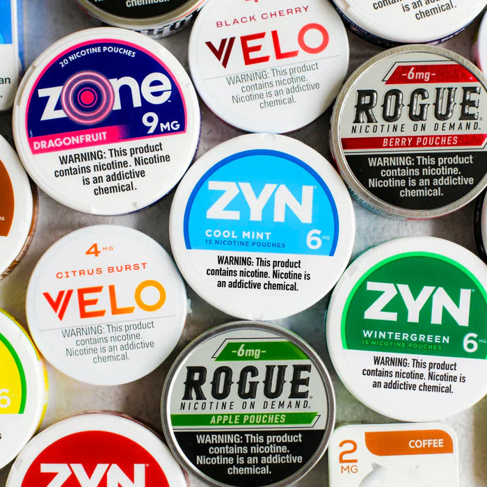 Alternatives to Zyn Nicotine Pouches: Discover Your Options