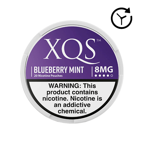 XQS Nicotine Pouches - Blueberry Mint