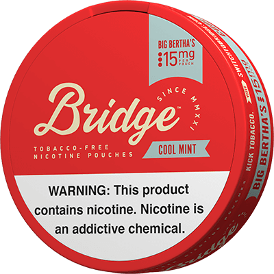 Bridge Nicotine Pouches - Cool Mint