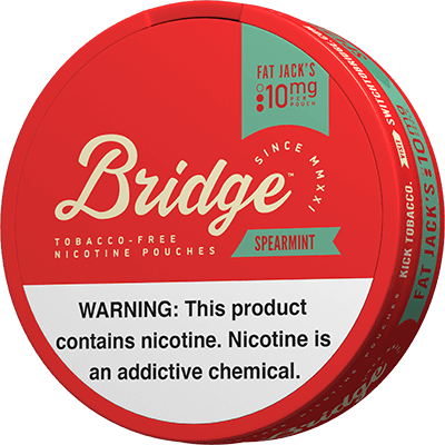 Bridge Nicotine Pouches - Spearmint