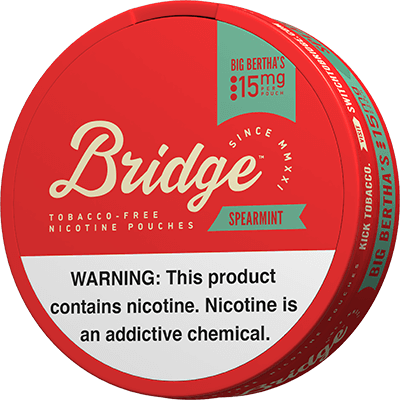 Bridge Nicotine Pouches - Spearmint