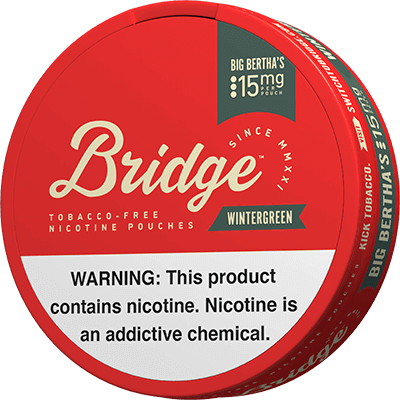 Bridge Nicotine Pouches - Wintergreen