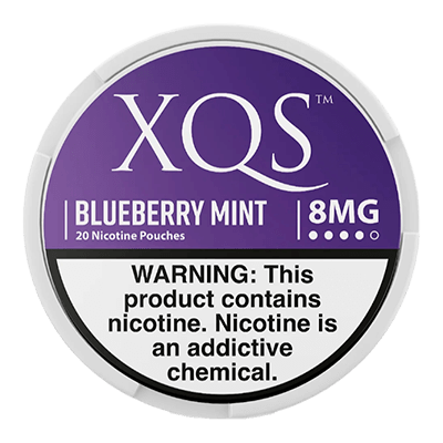 XQS Nicotine Pouches - Blueberry Mint